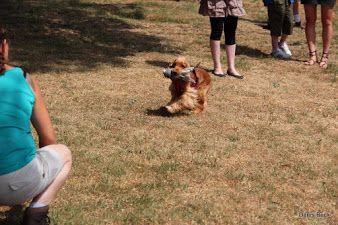 Junon Du Paradis D'oliver