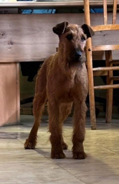 CH. Take on life Du Paradis D'oliver